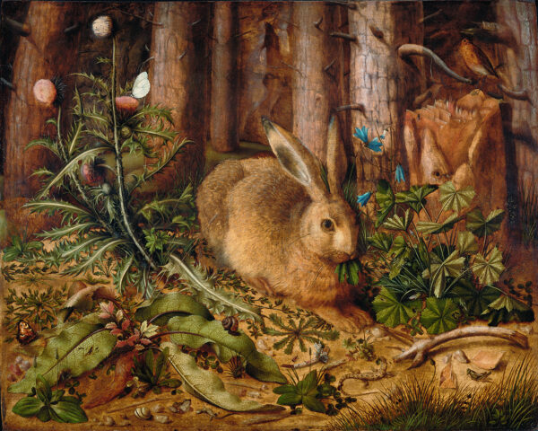 Farm/Pastoral Farm Rabbit in Forest Oil Painting Print on Canvas
