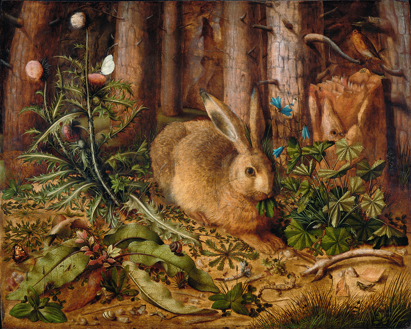 Farm/Pastoral Farm Rabbit in Forest Oil Painting Print on ...