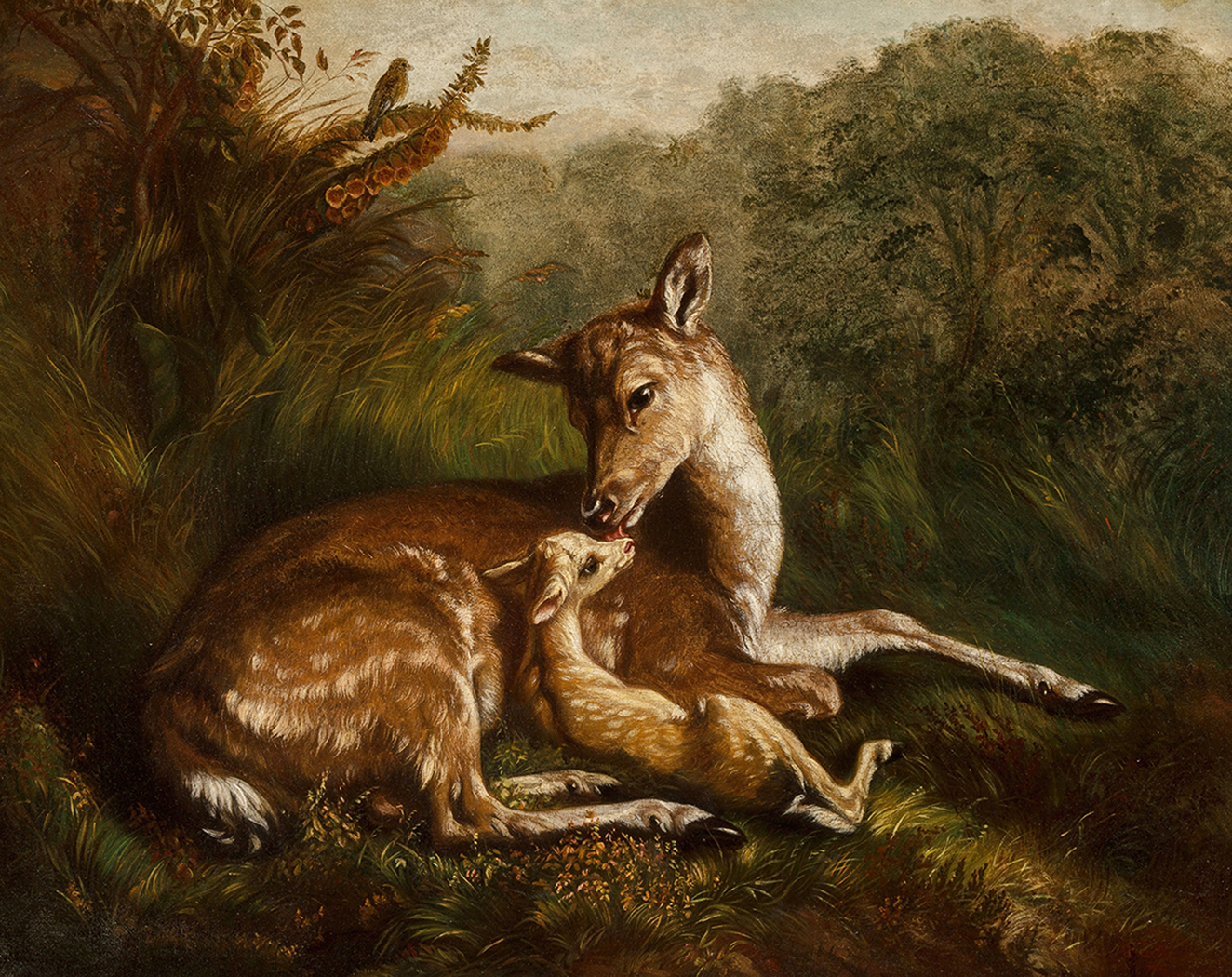 Cabin/Lodge Animals Doe and Fawn Framed Oil Painting Print ...