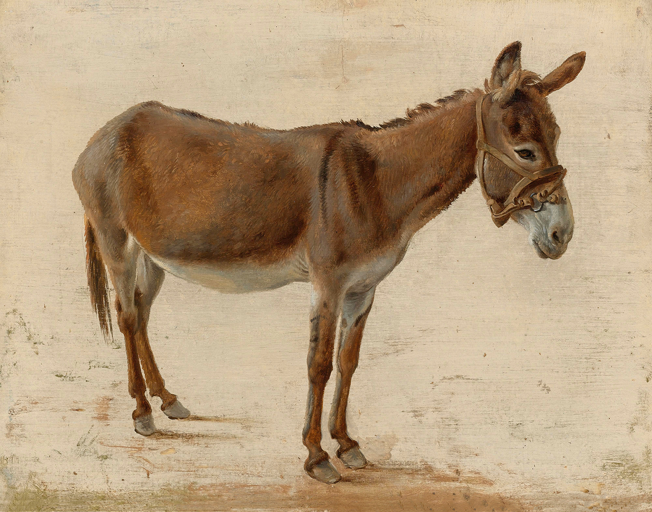 Farm/Pastoral Farm Brown Donkey Framed Oil Painting Print ...