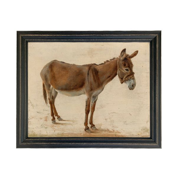 Farm/Pastoral Farm Brown Donkey