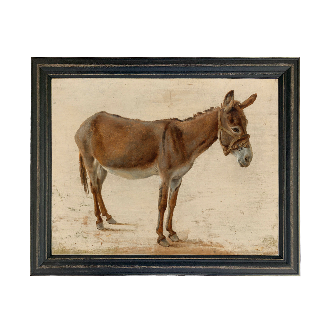 Farm/Pastoral Farm Brown Donkey ...