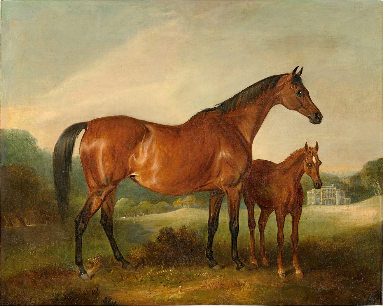 Equestrian/Fox Equestrian Beeswing and Foal with Old Fort Beyond ...
