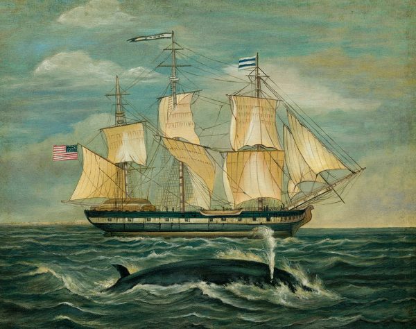 Nautical Nautical Whaling Ship with Whale Framed Print