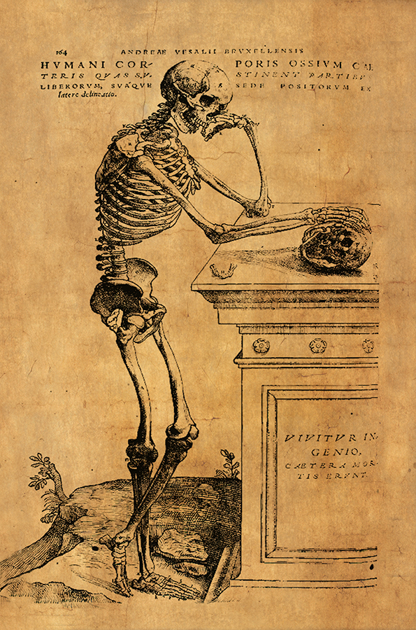 Halloween Halloween Skeleton at Tomb Dark Academia Framed Print Behind Glass