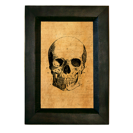Halloween Halloween Skull Dark Academia Framed Print Behind Glass
