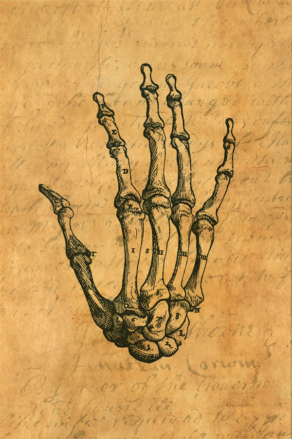 Halloween Halloween Skeleton Hand Dark Academia Framed Pri ...