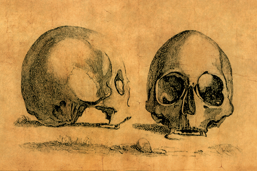 Halloween Halloween Pair of Skulls Dark Academia Framed Pr ...