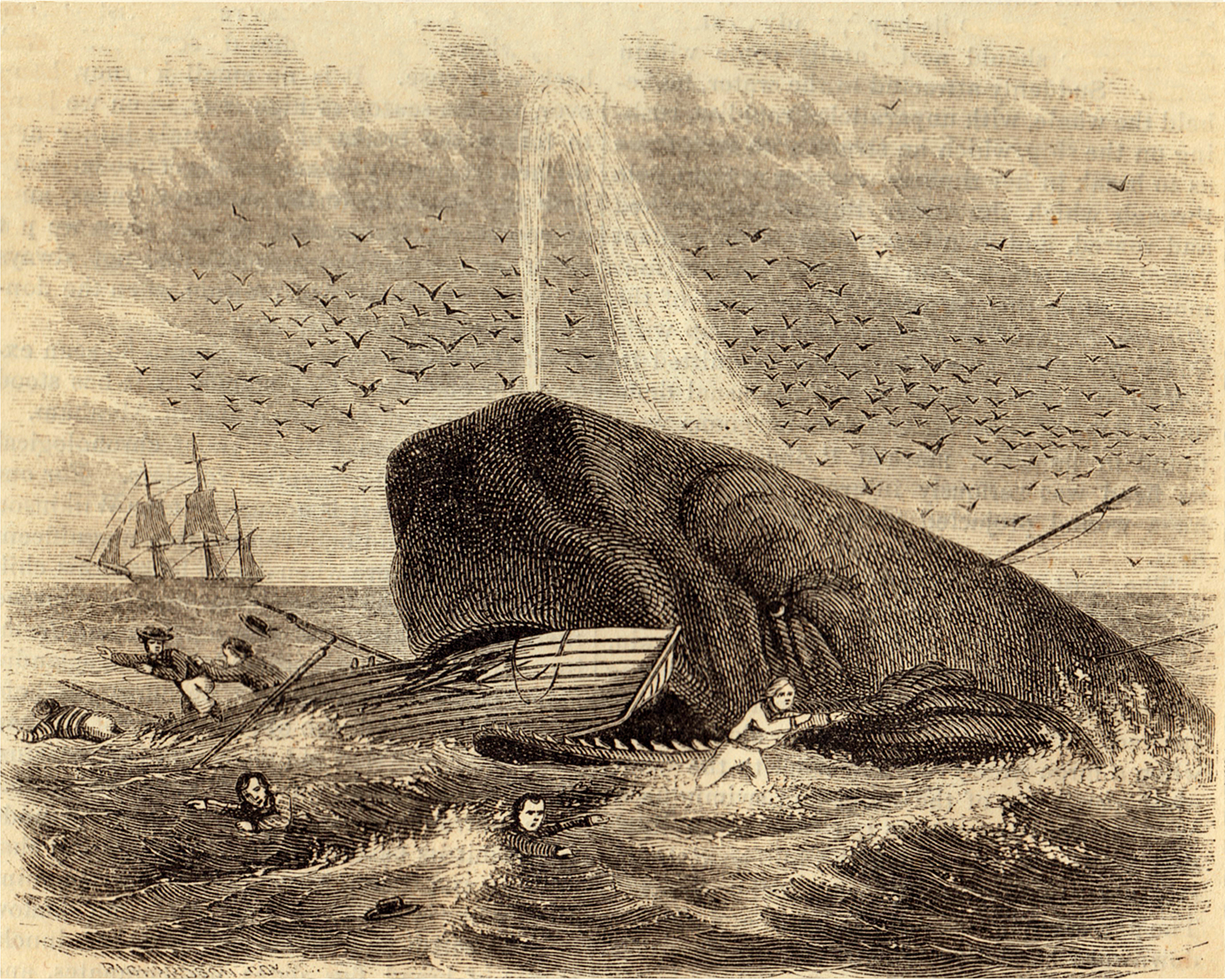 Nautical Nautical The Whale of Captain DeLois Etching Fr ...