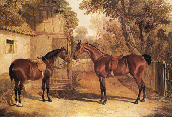 Equestrian/Fox Equestrian Saddled Horses Framed Print or Decorative Tray