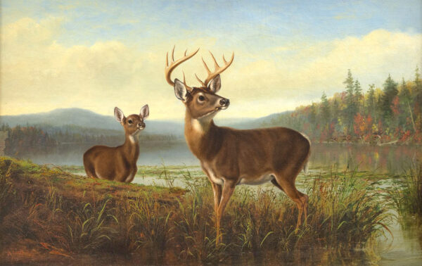 Cabin/Lodge Lodge Deer On the Alert Framed Print or Decorative Tray