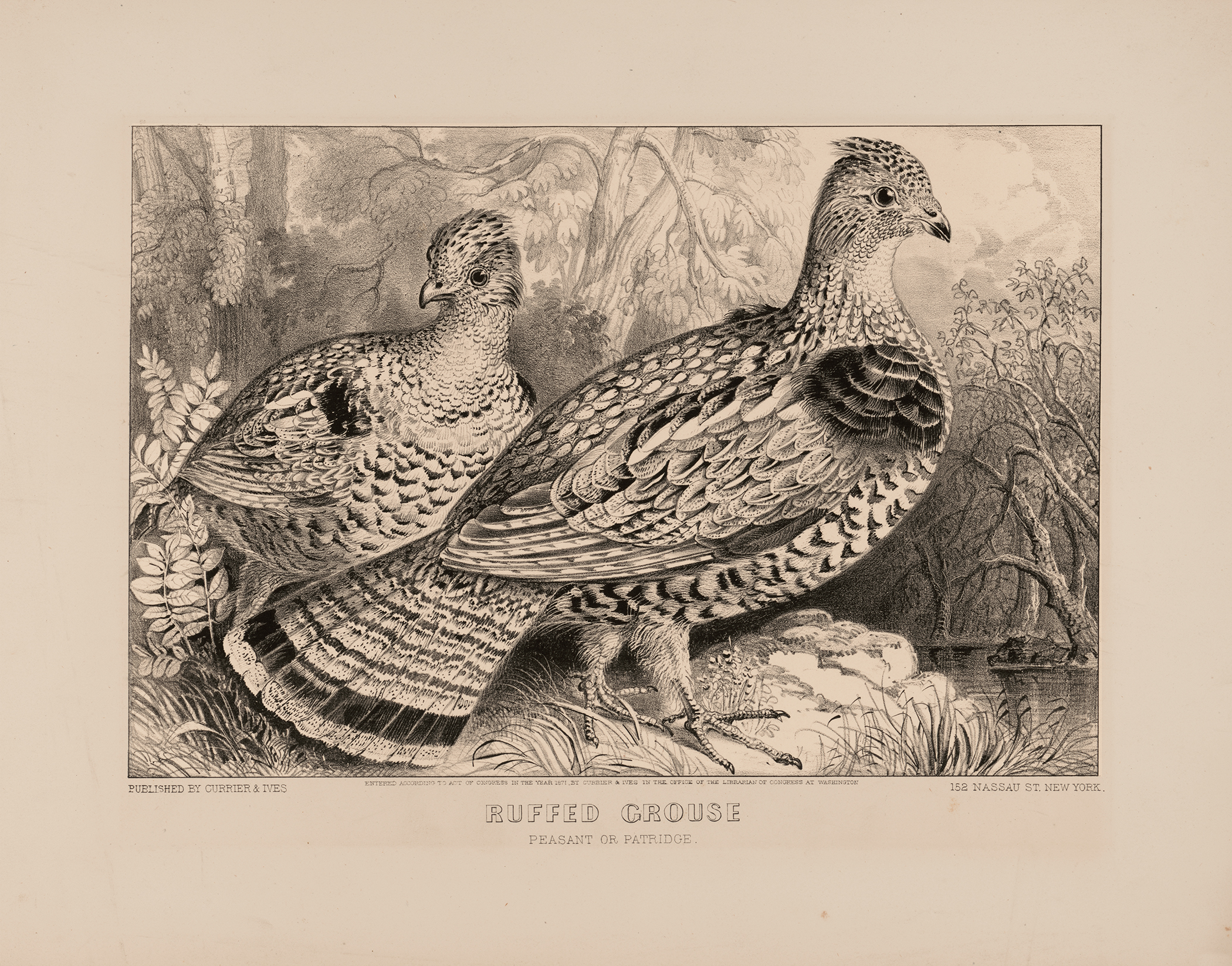 Cabin/Lodge Bird hunting Pair of Ruffed Grouse Vintage Currier  ...
