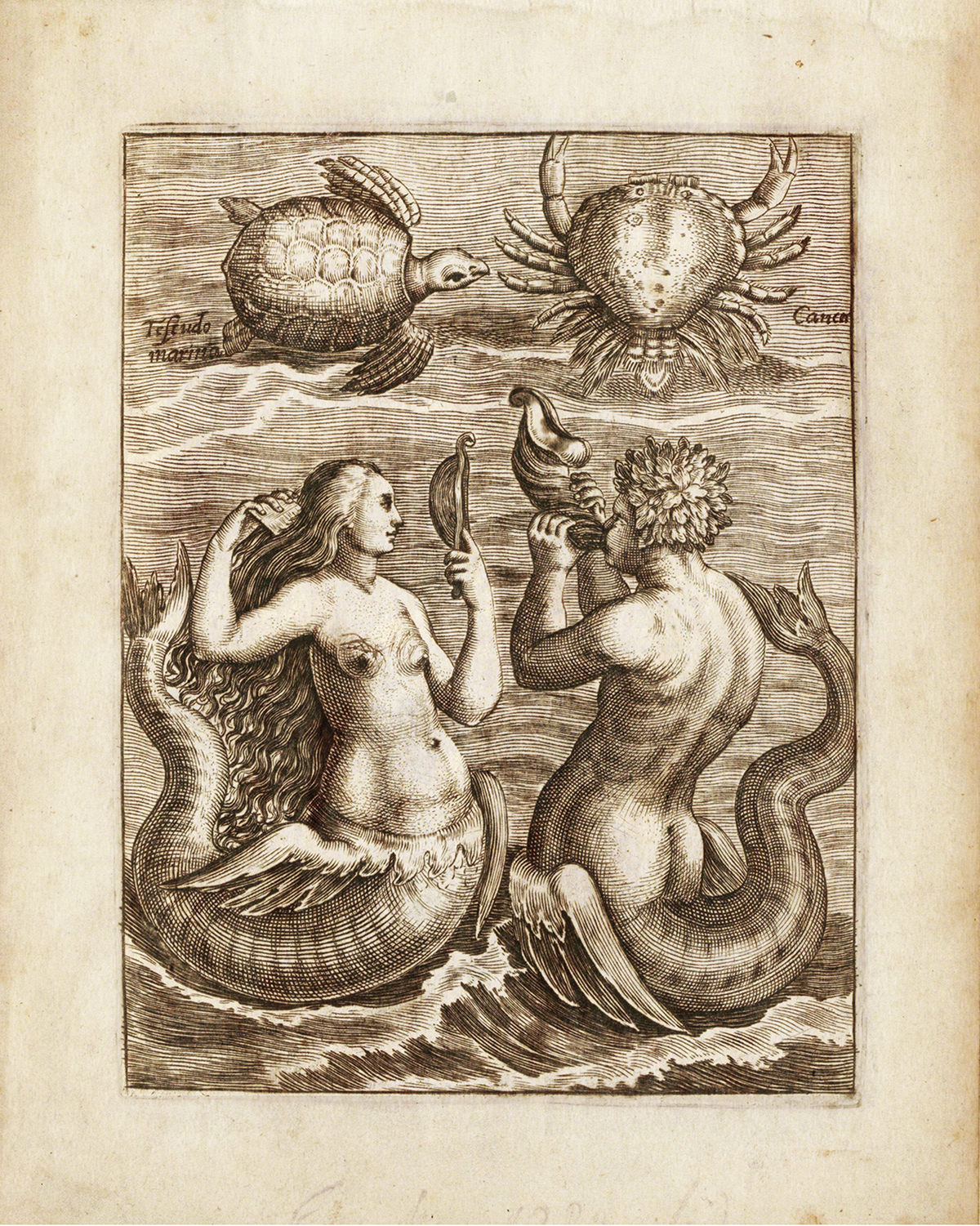 Nautical Nautical Mermaid & Merman Nautical Illustr ...