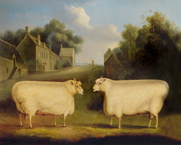 Farm/Pastoral Early American Two Sheep Primitive