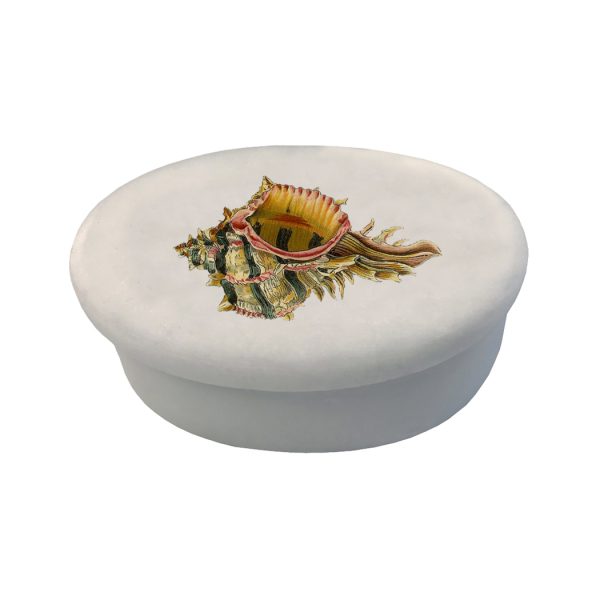 Decorative Boxes Botanical/Zoological Conch Seashell White Oval Soap Stone Trinket-Jewelry Box