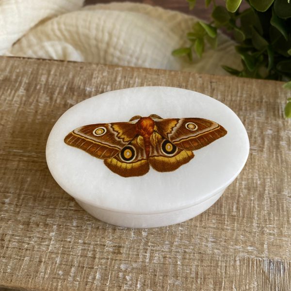 Decorative Boxes Botanical/Zoological 3″ Emperor Moth White Oval Soap Stone Trinket-Jewelry Box