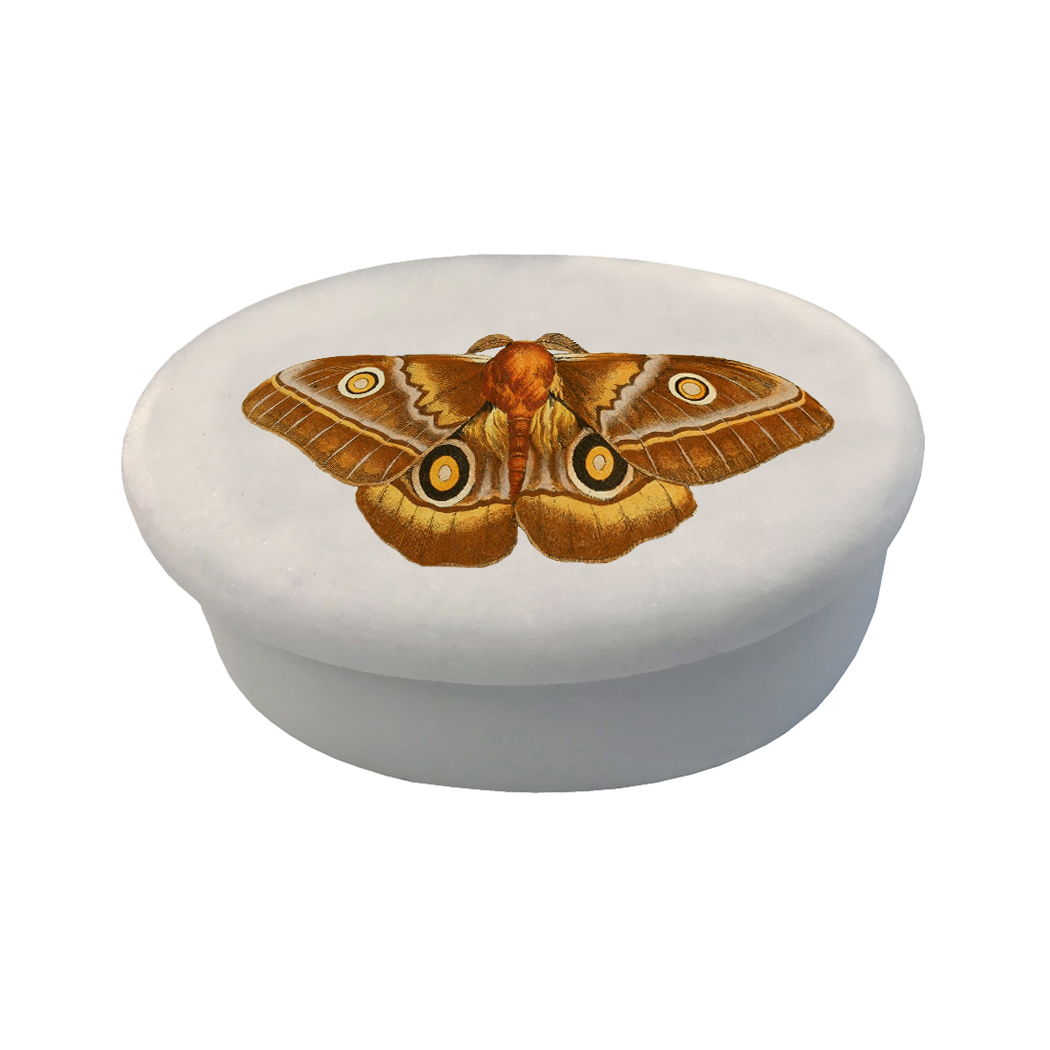 Decorative Boxes Botanical/Zoological 3″ Emperor Moth White Oval Soap  ...