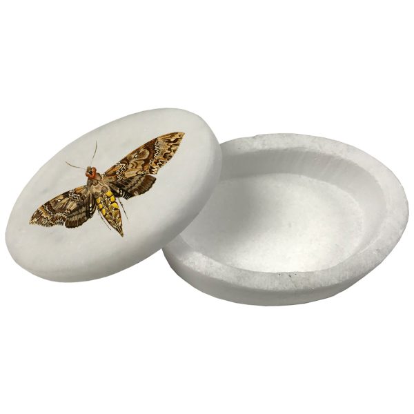 Decorative Boxes Botanical/Zoological 3″ Hawk Moth White Oval Soap Stone Trinket-Jewelry Box