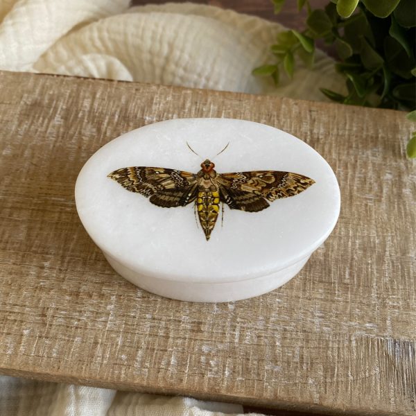 Decorative Boxes Botanical/Zoological 3″ Hawk Moth White Oval Soap Stone Trinket-Jewelry Box