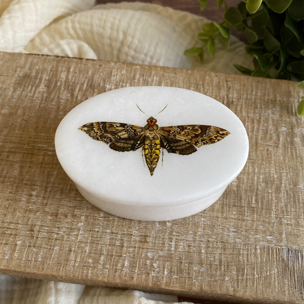 Decorative Boxes Botanical/Zoological Hawk Moth White Oval Soap Stone Trinke ...