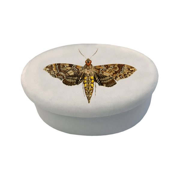 Decorative Boxes Botanical/Zoological 3″ Hawk Moth White Oval Soap Stone Trinket-Jewelry Box