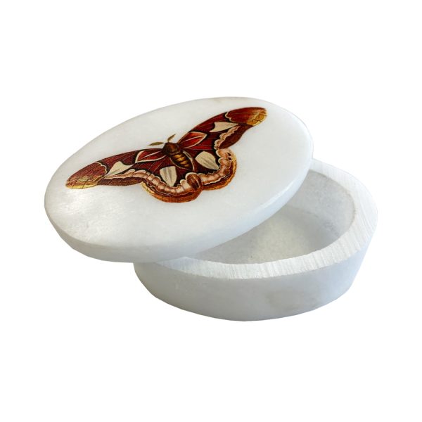 Decorative Boxes Botanical/Zoological 3″ Atlas Moth White Oval Soap Stone Trinket-Jewelry Box