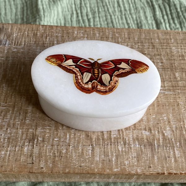 Decorative Boxes Botanical/Zoological Atlas Moth White Oval Soap Stone Trinket-Jewelry Box