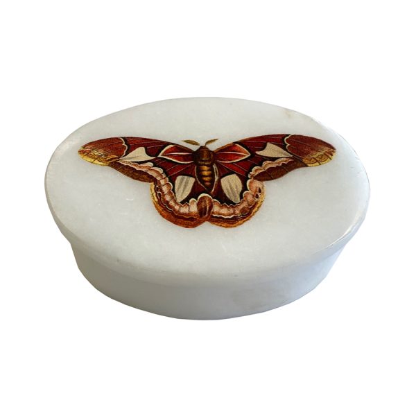 Decorative Boxes Botanical/Zoological 3″ Atlas Moth White Oval Soap Stone Trinket-Jewelry Box