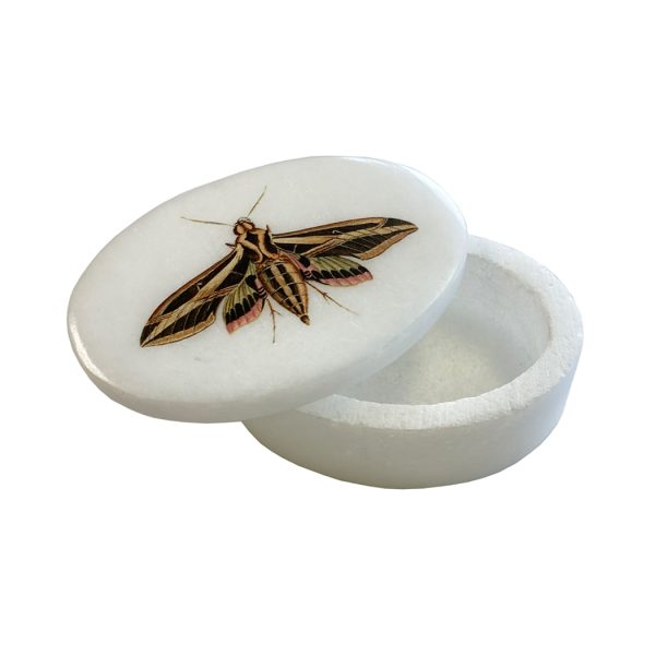 Decorative Boxes Botanical/Zoological 3″ Sphinx Moth White Oval Soap Stone Trinket-Jewelry Box