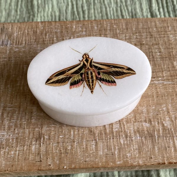 Decorative Boxes Botanical/Zoological 3″ Sphinx Moth White Oval Soap Stone Trinket-Jewelry Box