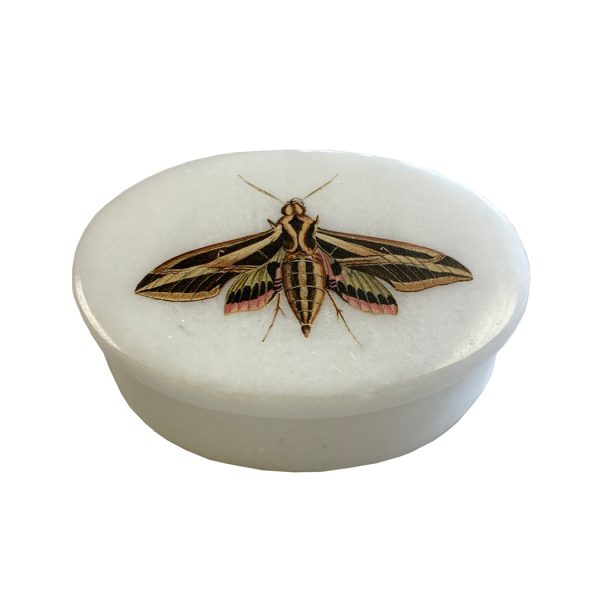 Decorative Boxes Botanical/Zoological 3″ Sphinx Moth White Oval Soap Stone Trinket-Jewelry Box