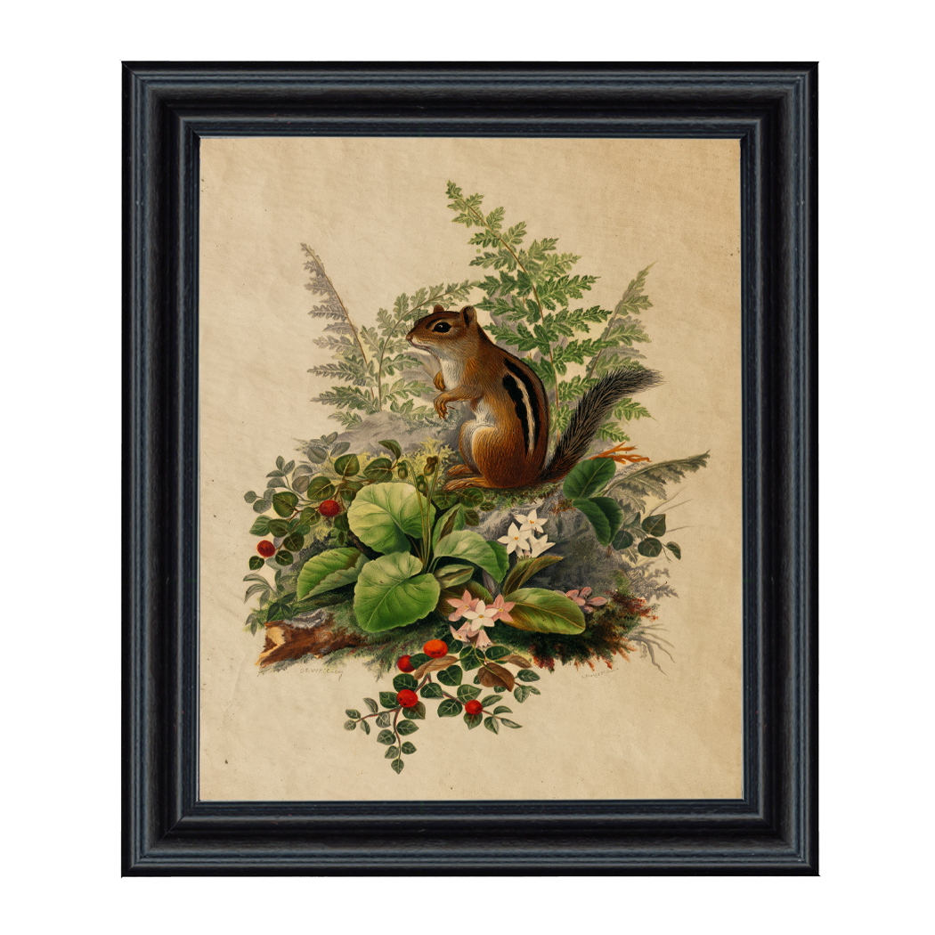 Cabin/Lodge Botanical/Zoological Birds in Nest Cottagecore Framed Print