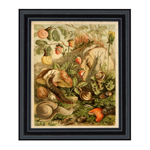 Cabin/Lodge Botanical/Zoological Land Mollusks Cottagecore Framed Print