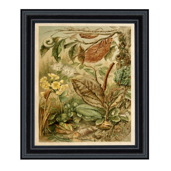 Cabin/Lodge Botanical/Zoological Mimicry Insects Cottagecore Framed Print