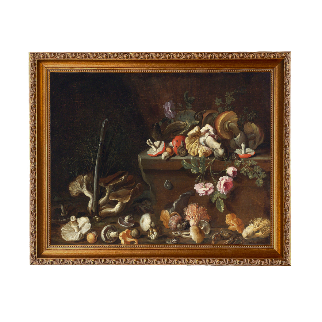 Painting Prints on Canvas Botanical/Zoological Still Life with Mushrooms and Flowers ...