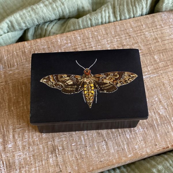 Decorative Boxes Botanical/Zoological 3″ Hawk Moth Black Soap Stone Trinket Box