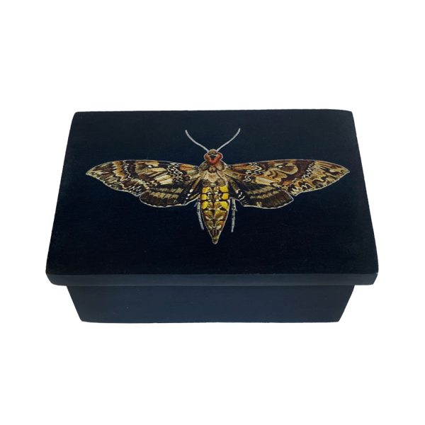 Decorative Boxes Botanical/Zoological 3″ Hawk Moth Black Soap Stone Trinket Box