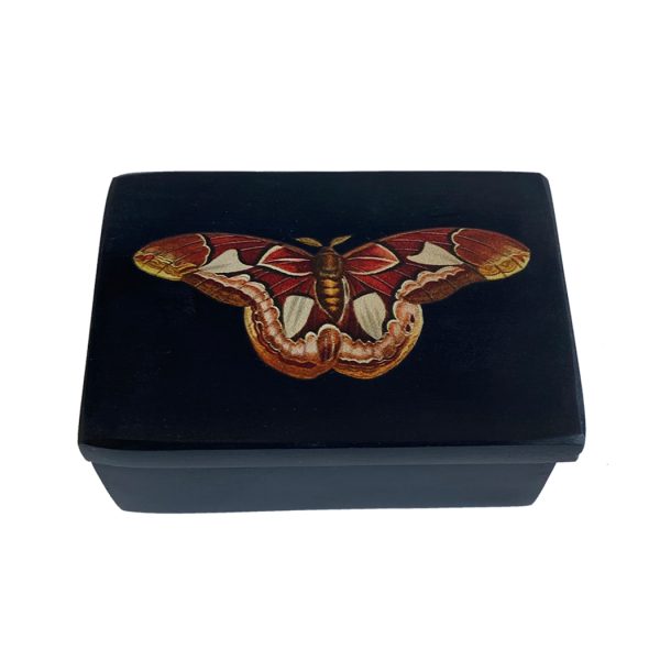 Decorative Boxes Botanical/Zoological 3″ Atlas Moth Black Soap Stone Trinket Box