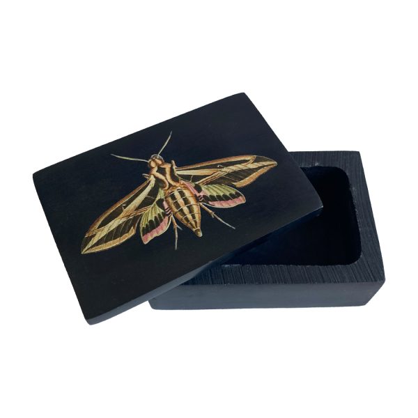 Decorative Boxes Botanical/Zoological 3″ Sphinx Moth Black Soap Stone Trinket Box