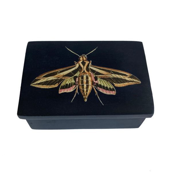 Decorative Boxes Botanical/Zoological 3″ Sphinx Moth Black Soap Stone Trinket Box