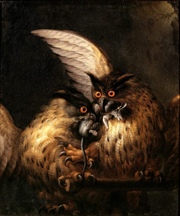 Holiday Halloween Owls Fighting Over a Rat