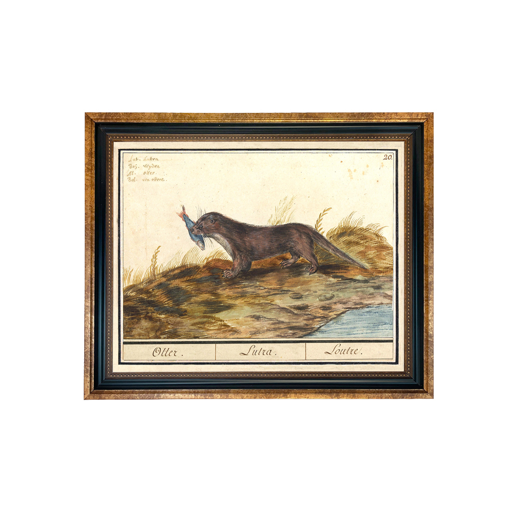 Cabin/Lodge Botanical/Zoological Otter Illustration Framed Print Behind ...