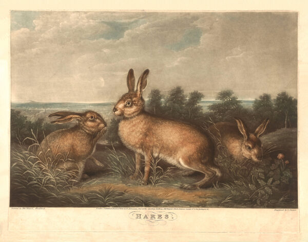 Easter Farm Vintage Hares (c. 1831)