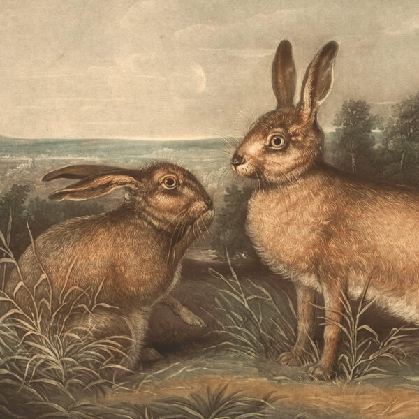 Easter Farm Vintage Hares (c. 1831)