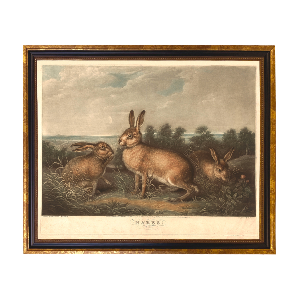 Easter Farm Vintage Hares (c. 1831) ...