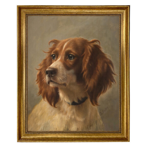 Dogs/Cats Dogs Spaniel Portrait