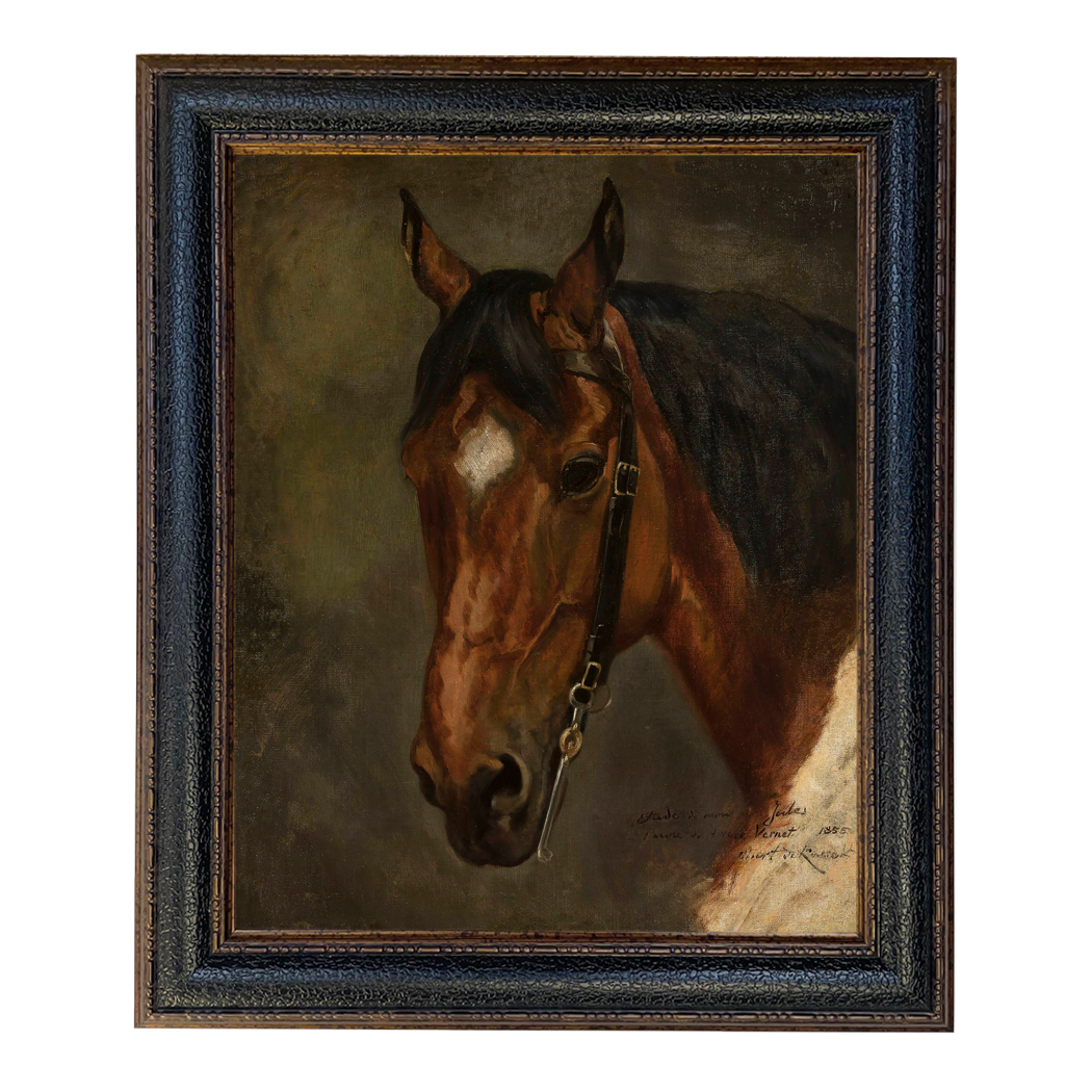 Equestrian/Fox Equestrian Horse Head Portrait ...