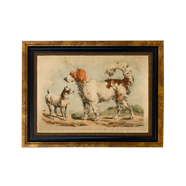 Cabin/Lodge Dogs Two Dogs Vintage Book Illustration Framed Print