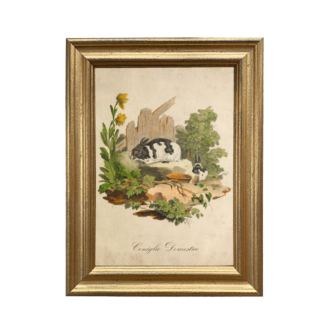 Easter Easter Italian Domestic Rabbit Illustration F ...