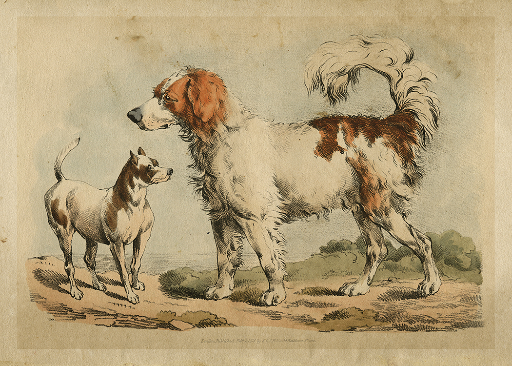 Cabin/Lodge Dogs Two Dogs Vintage Book Illustration Fra ...